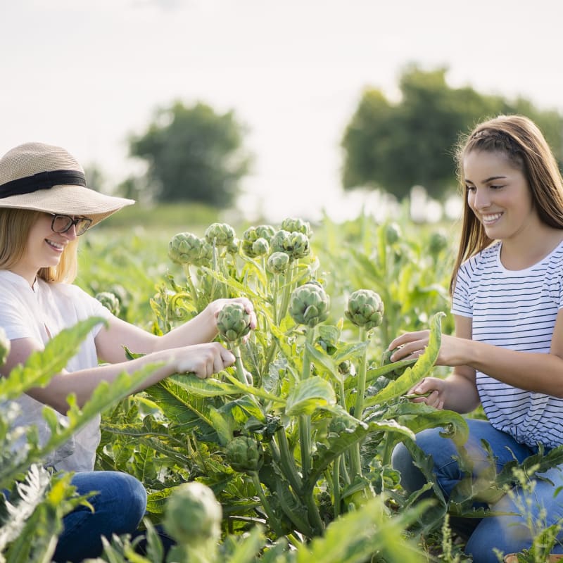 2 women in a field