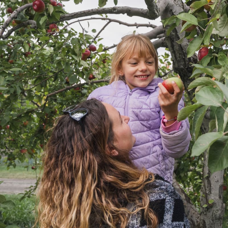 Mother and daughter picking apples.