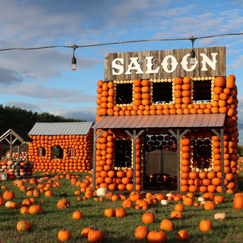 The display at the Citrouilleville attraction including a saloon build out of pumpkins.