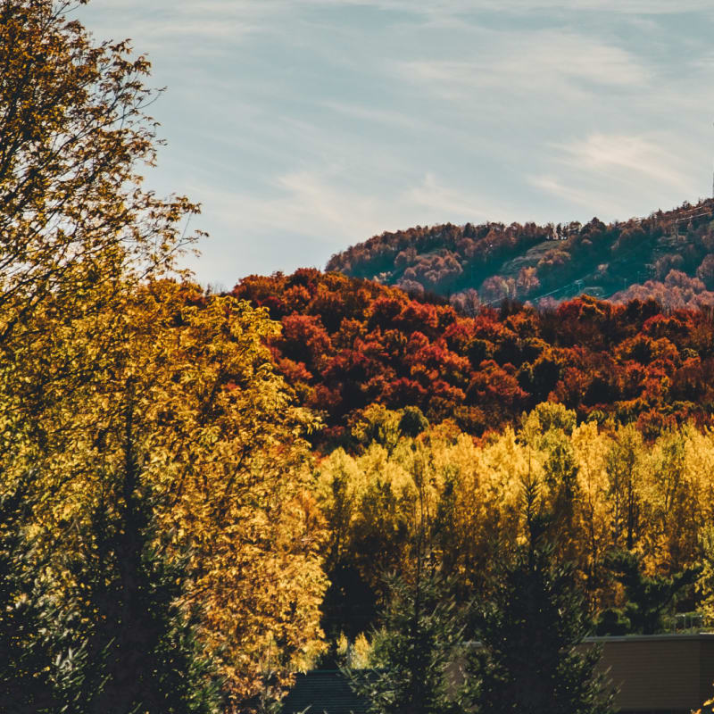 Bromont mountain in the fall.