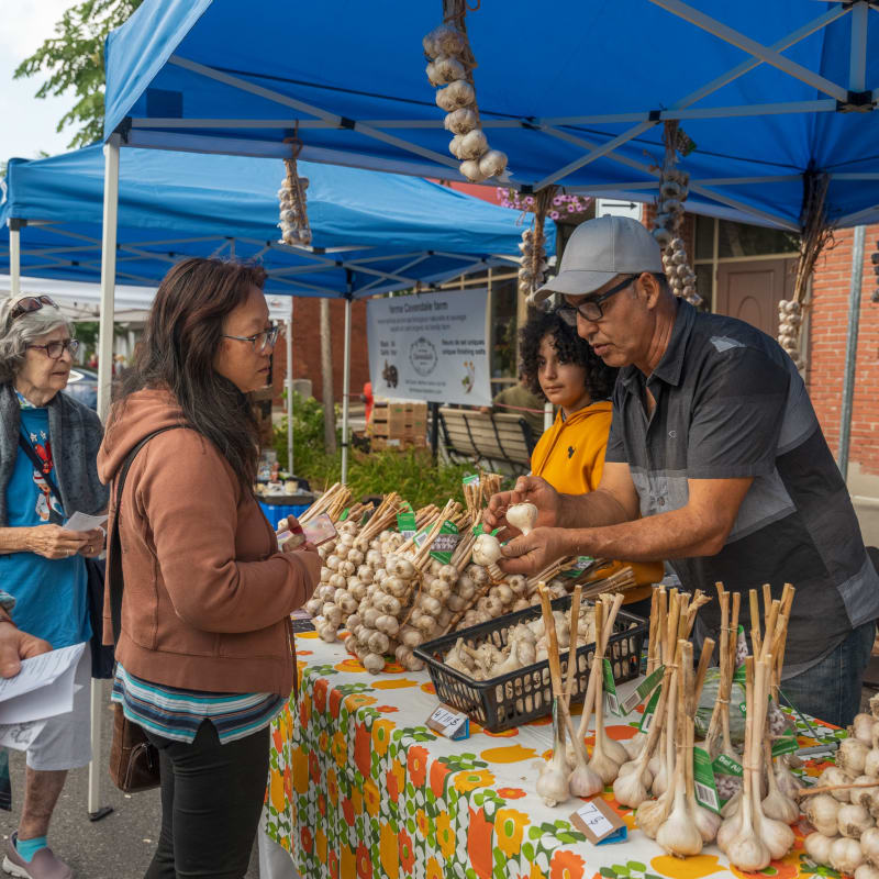 Garlic stand at a market, with vendors and clients discussing.