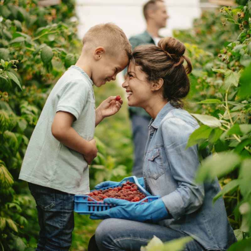 Terroir et Saveurs du Québec : family