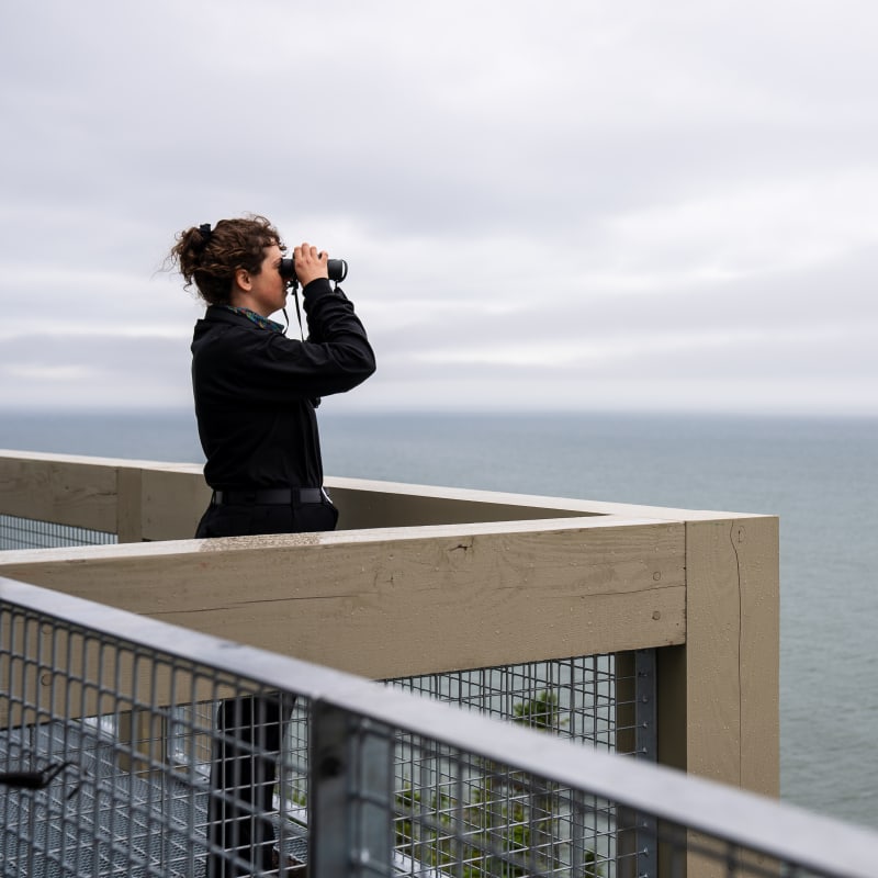 Woman watching beluga whales in Bas-Saint-Laurent.