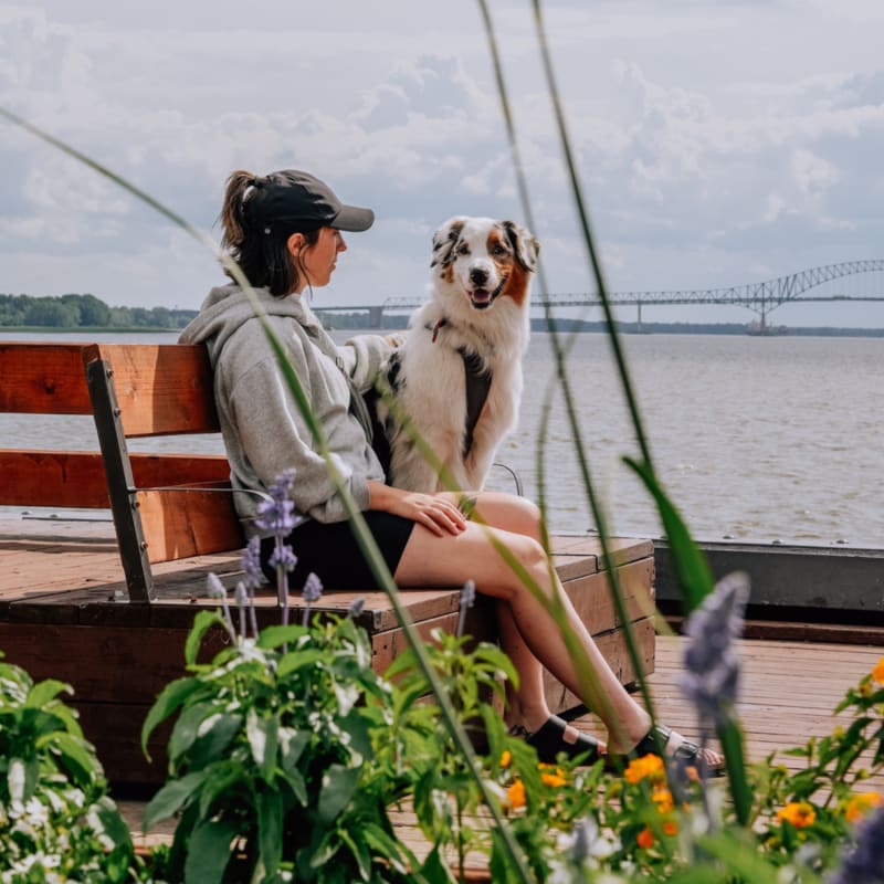 Tourisme Centre-du-Québec : voyage avec chien