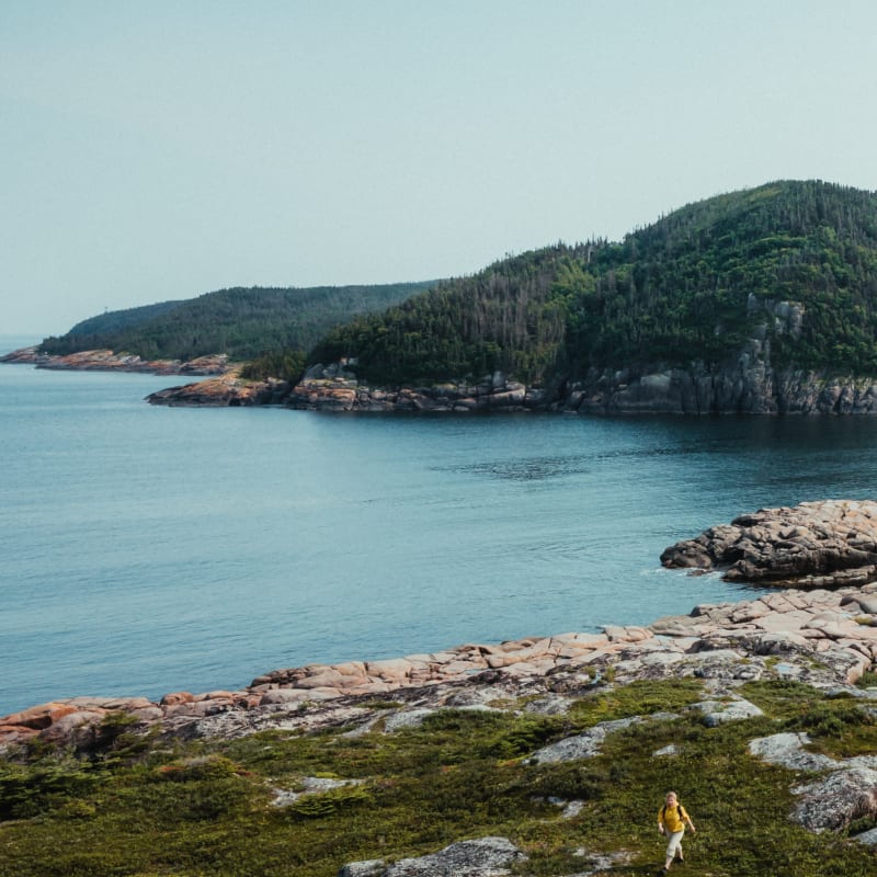 Côte Nord Grande Basques