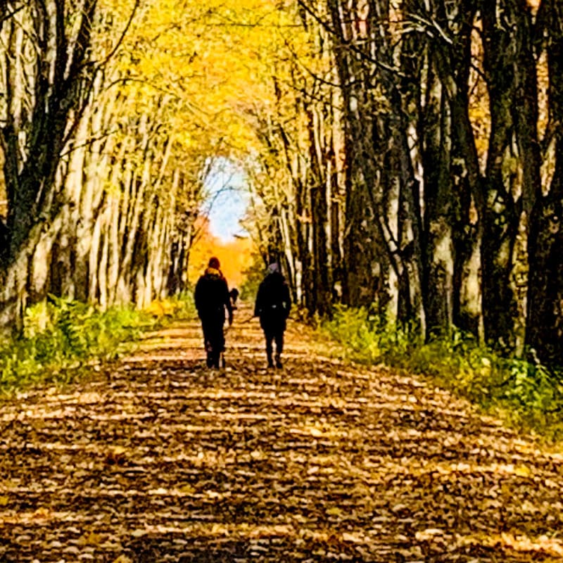 Tourisme Drummondville scenic autumn walk