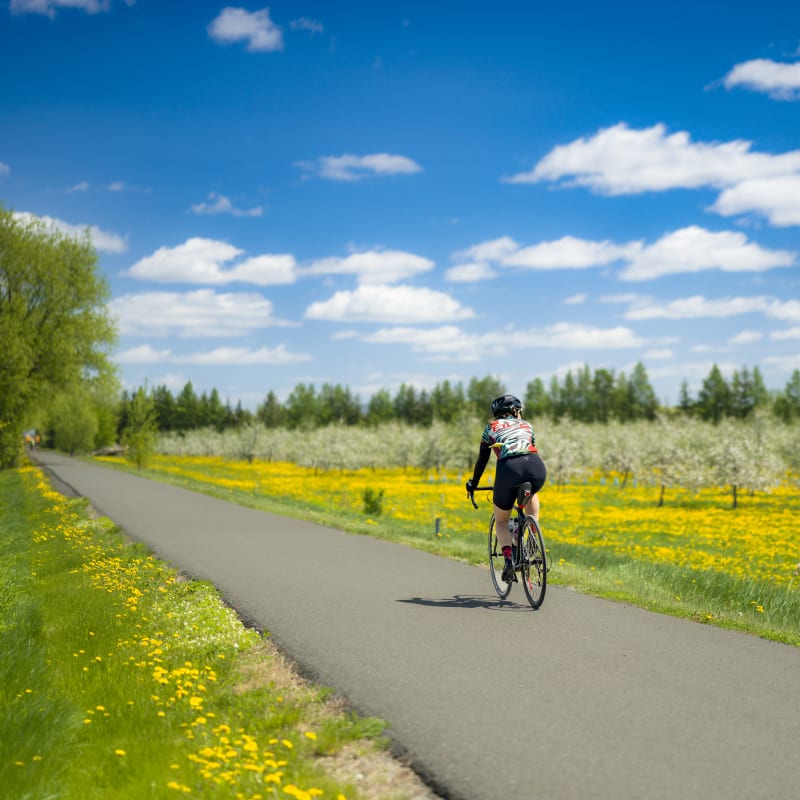 La route des Champs: vélo