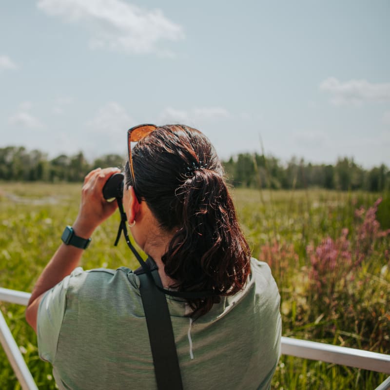 Woman bird-watching in the Plaisance park.