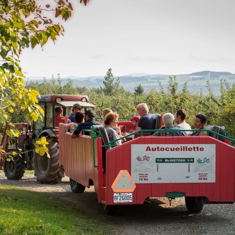 Verger Le Gros Pierre : tractor ride
