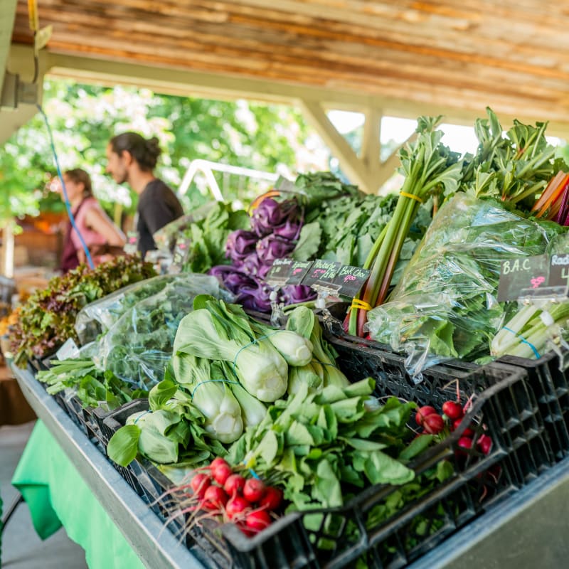 Compton Market: Vegetable stand