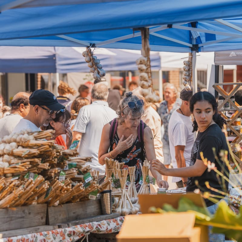 Visitez Sainte-Anne-de-Bellevue : garlic festival