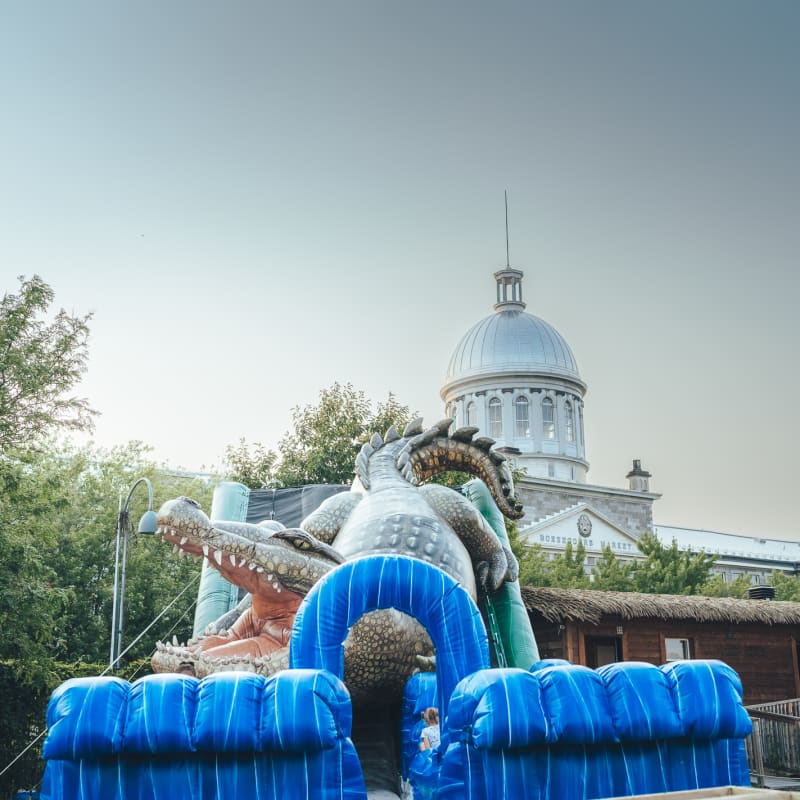 Attraction avec crocodile
