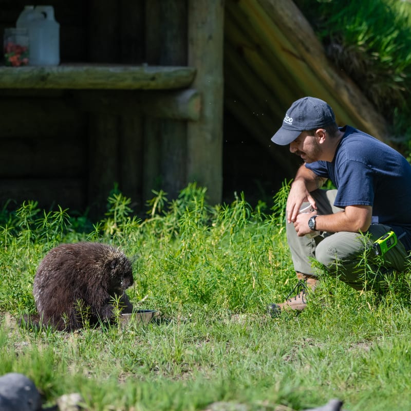 Personne veillant au bien-être animal