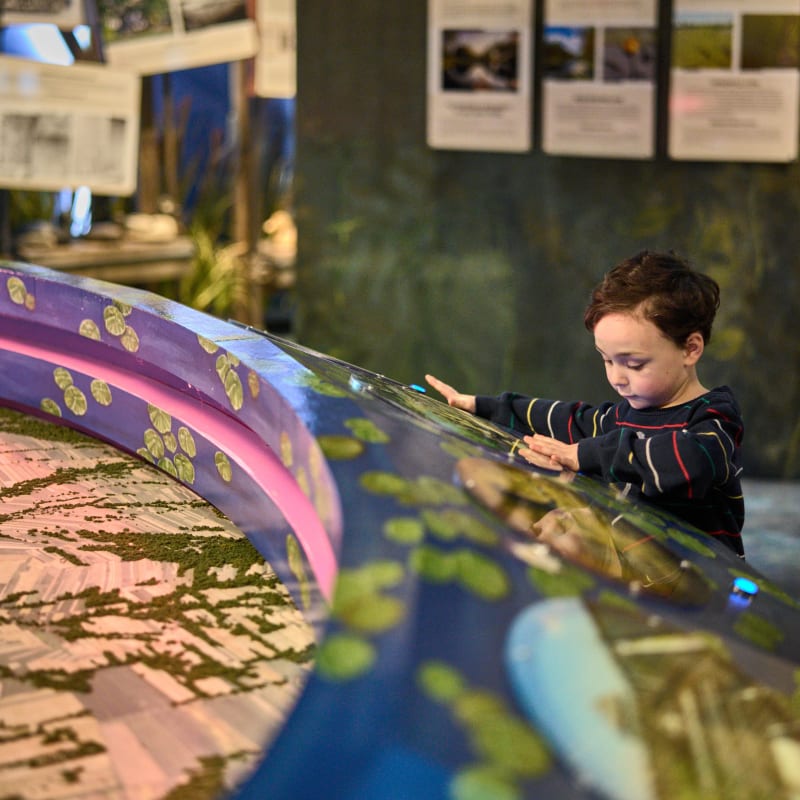 Exposition Confluence au Biophare.