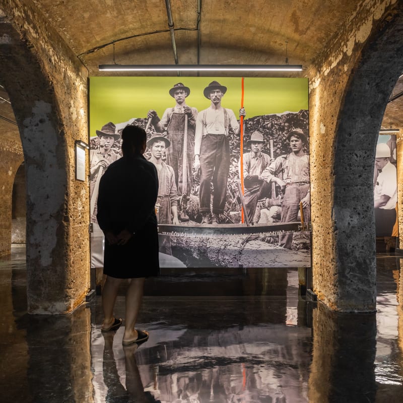 Transformations exhibition