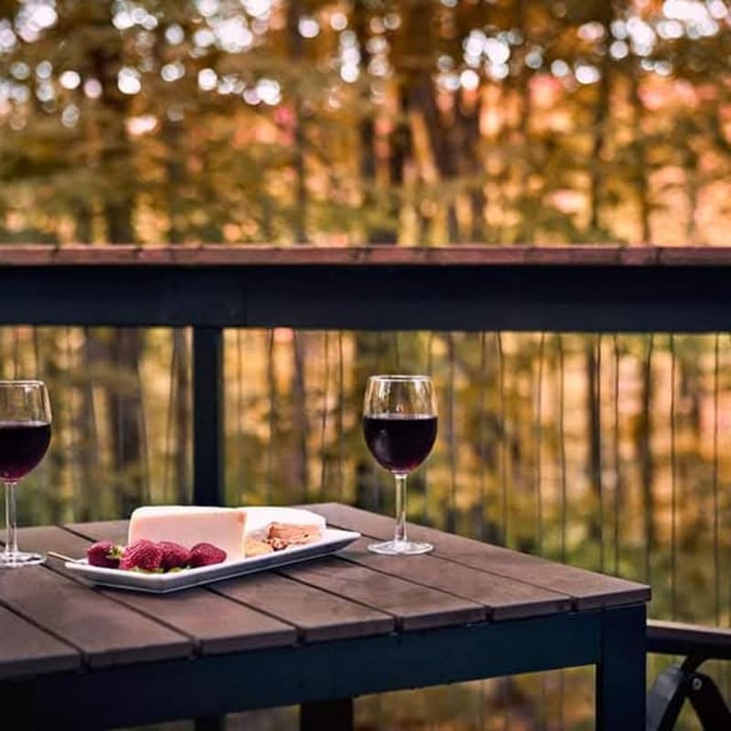 Two glasses of wine and a plate on a patio at Cabin Sutton.