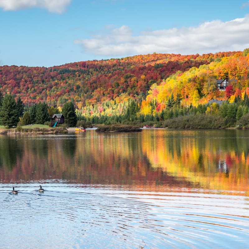 Vue panoramique d'un lac sur le site des Chalets Royal Laurentien, avec des montagnes colorées en arrière-plan.