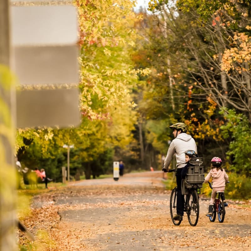 Family cycling in autumn on Le P’tit Train du Nord