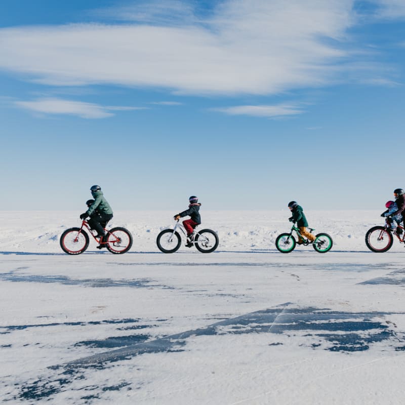 Four people on bicycles, riding one behind the other in a snowy landscape.