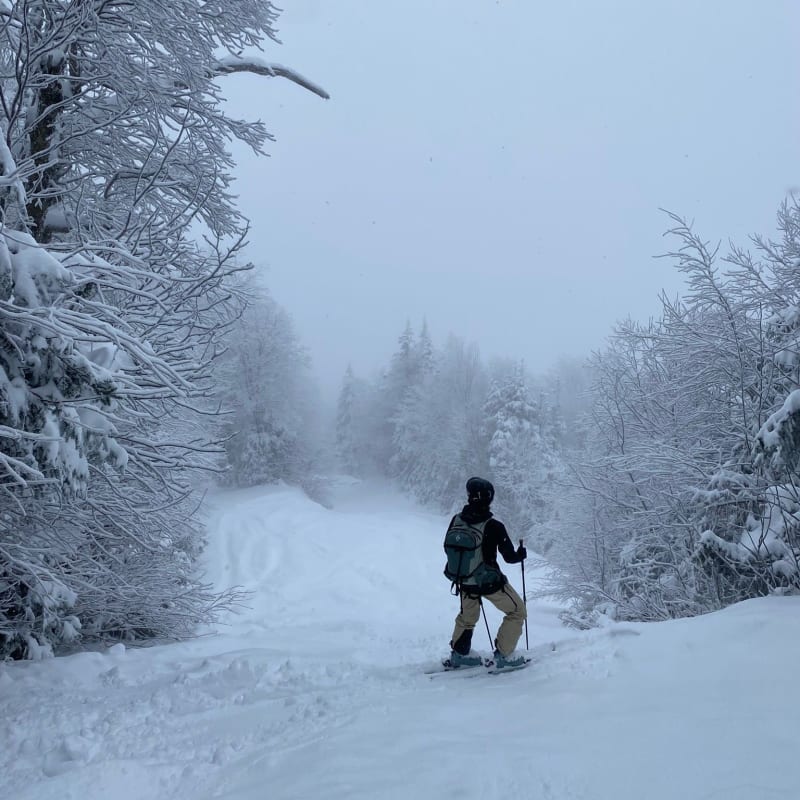 Person skiing down a snow-covered slope.