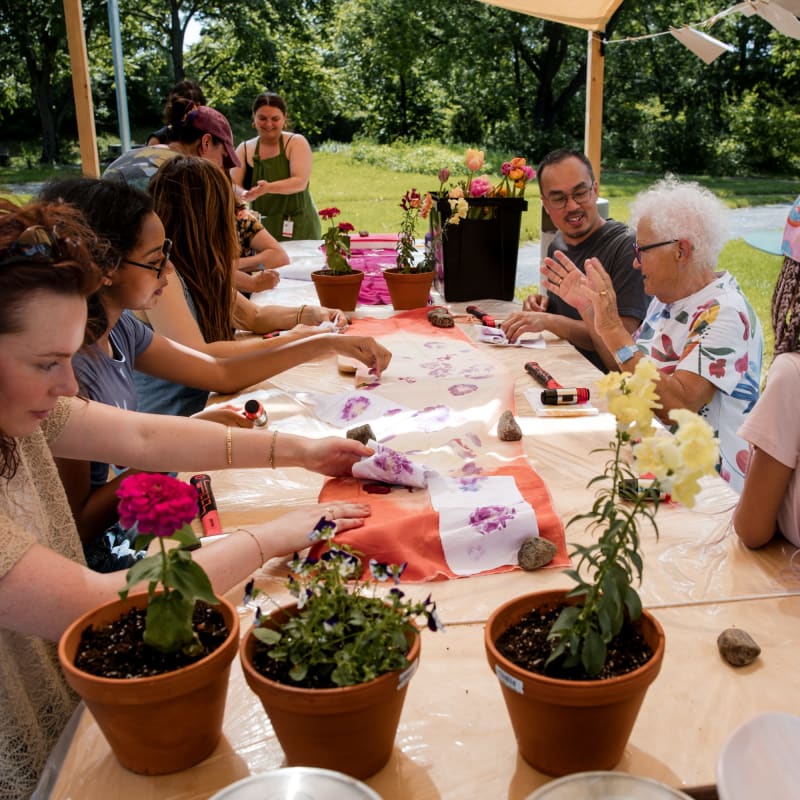 Activity, Fleurs Impudiques.
