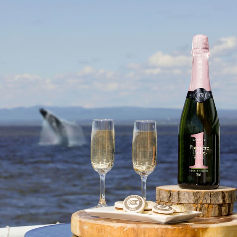 A bottle of champagne and two filled flutes sitting on a table, with a whale emerging from the water in the background.