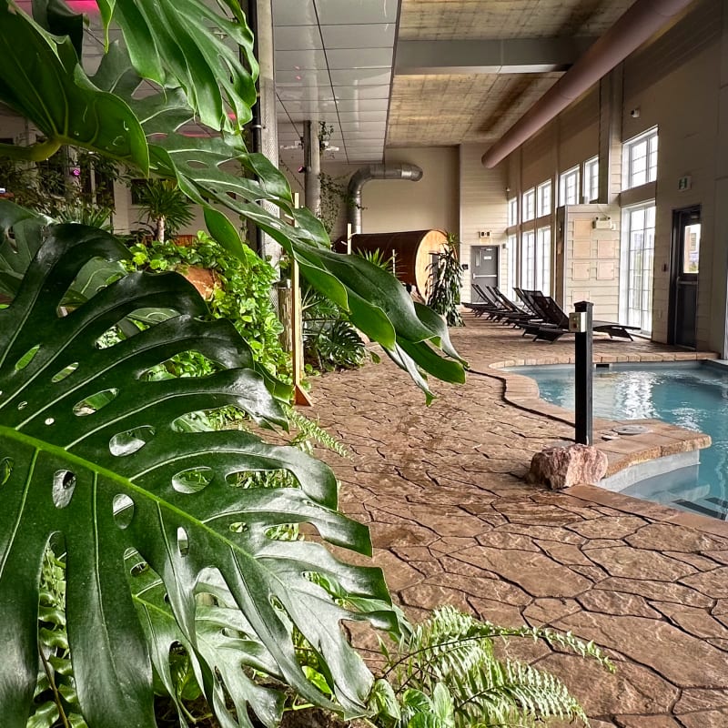 Hôtel Pavillons et Spa Le Petit Manoir du Casino 