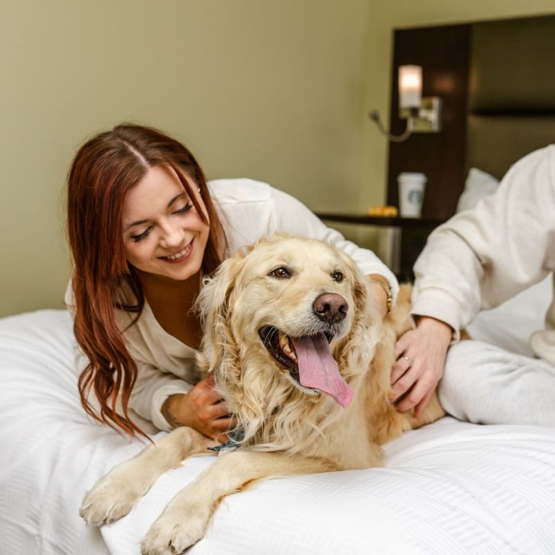 Femme avec son chien sur un lit de l'Hôtel Levesque