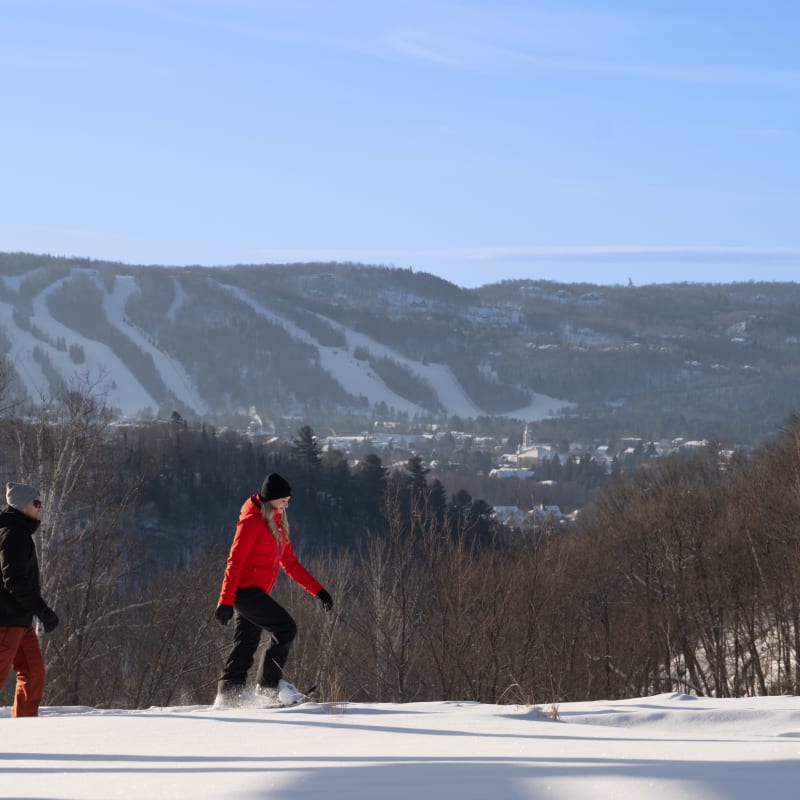 Deux personnes en raquette en haut de montagne.