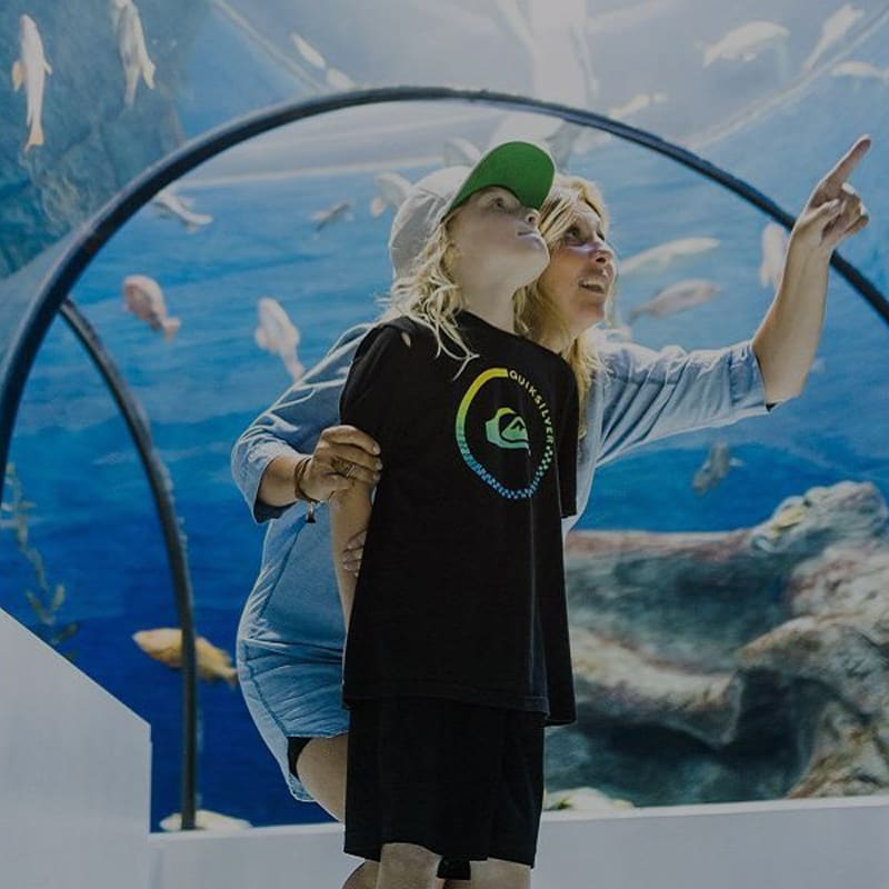 Forfait aqurium