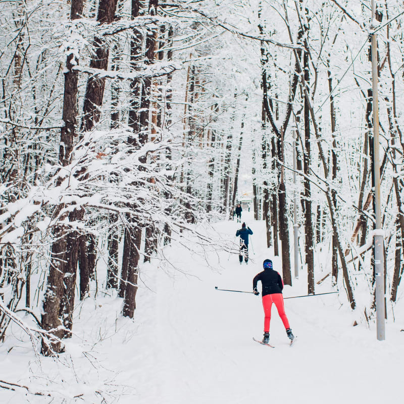 Skieurs au parc national des iles-de-boucherville.