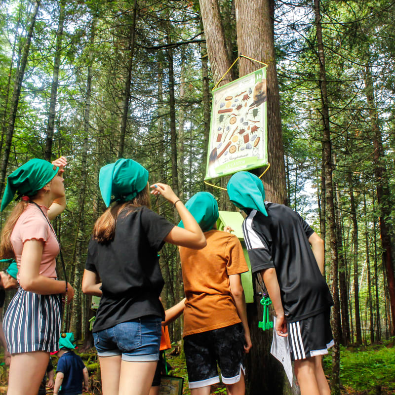 Kids with gnome caps on a treasure hunt in the forest.