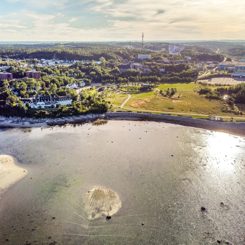 Aerial view.