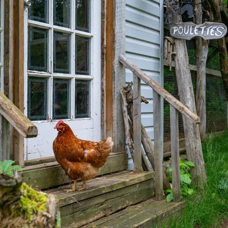 Auberge Carpe Diem