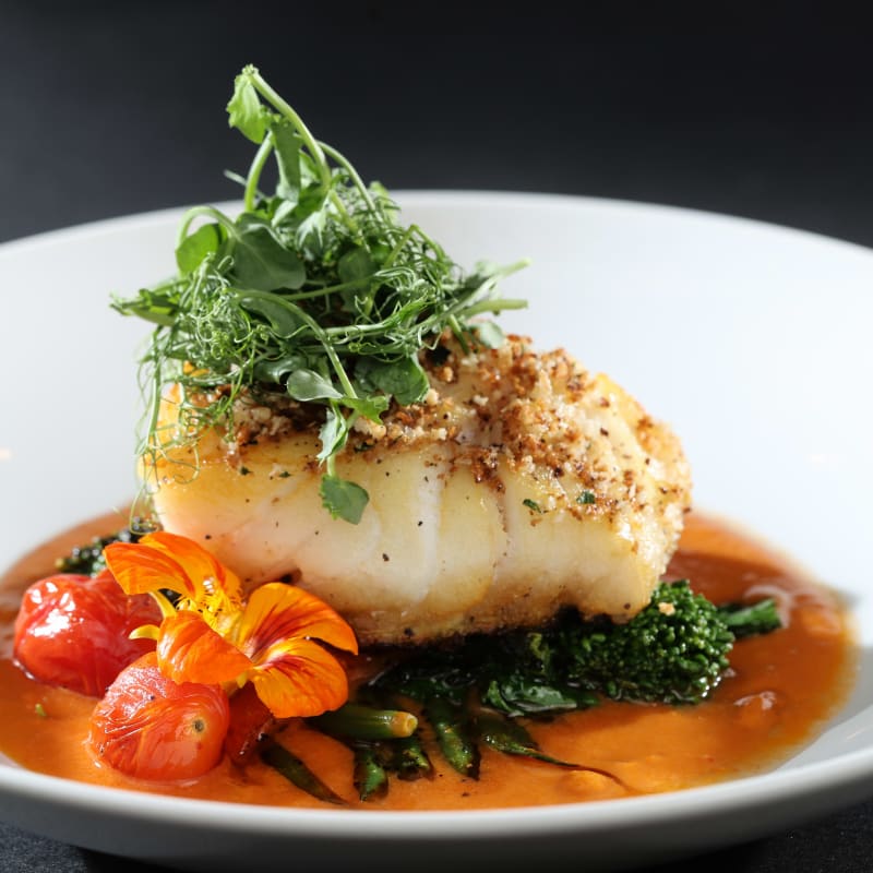 Gros plan d'une assiette soigneusement présentée de poisson en sauce.