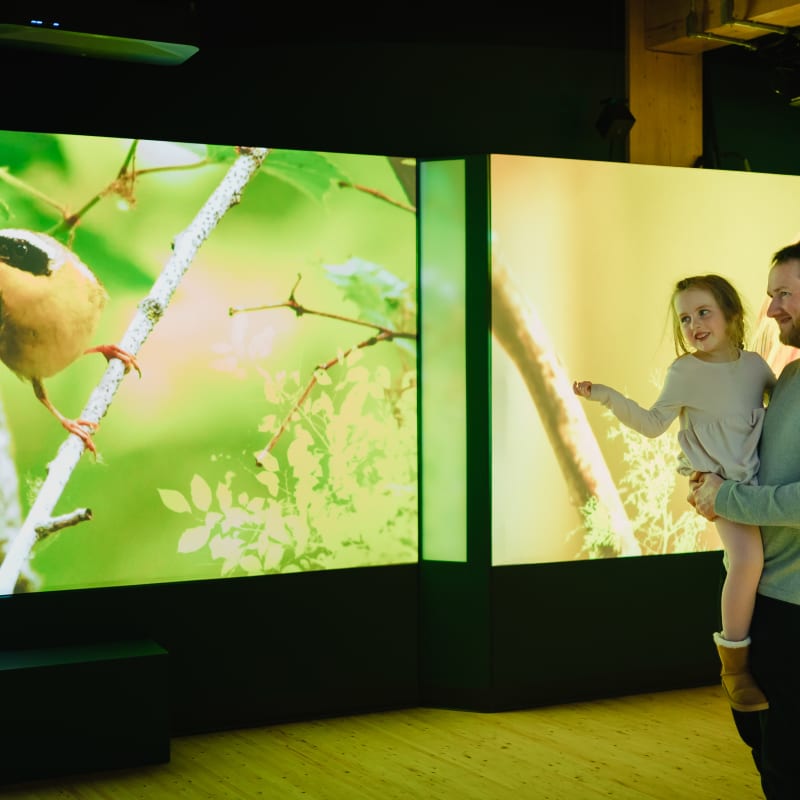 Father and daughter at the Momenti exhibit at Marais de la rivière des cerises.