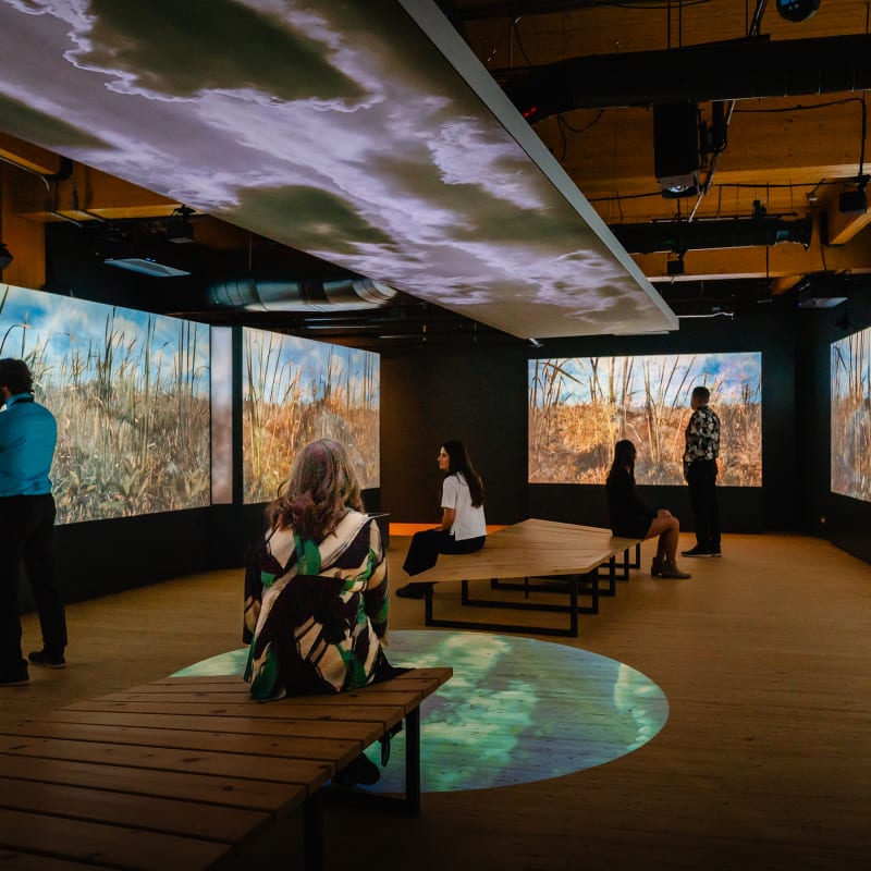 Many people at the Momenti exhibit at the Marais de la rivière des cerises.