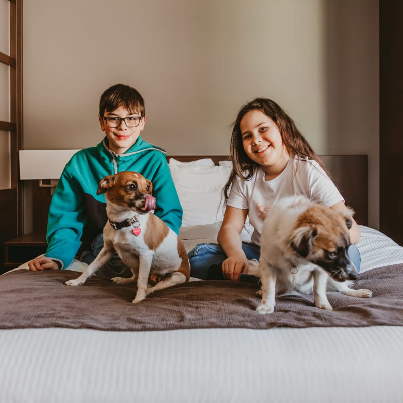 Two children and two dogs on a bed at the Microtel Inn & Suites Mont-Tremblant.