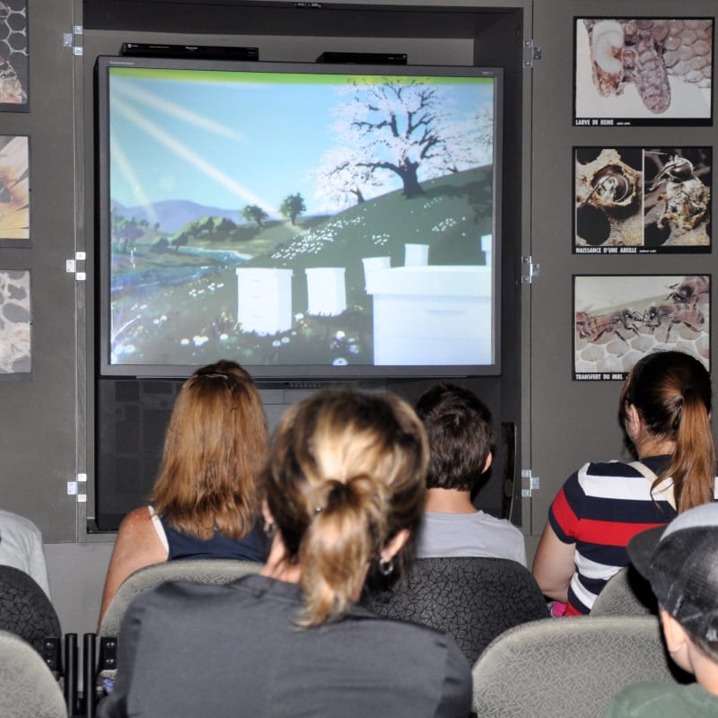 Presentation on bees at Miellerie Lune de Miel.