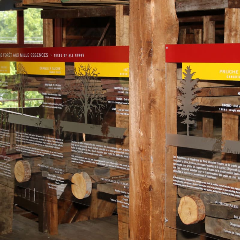 Section zone d'interprétation "Une forêt aux mille essences" du Moulin seigneurial de Pointe-du-Lac