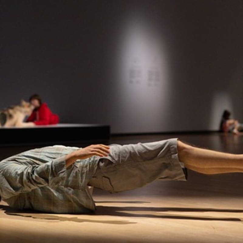 Piece at the Hyperrealism exhibition at MNBAQ. 