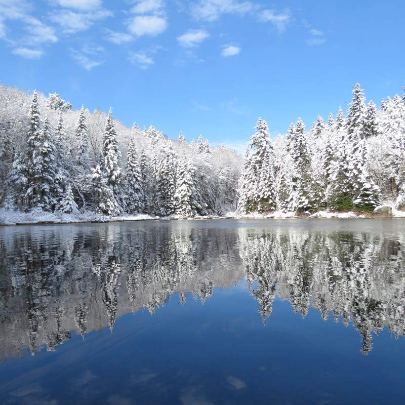 La Mauricie National Park in winter.
