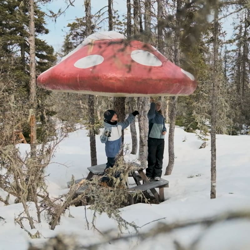 Parc nature de Pointe-aux-Outardes