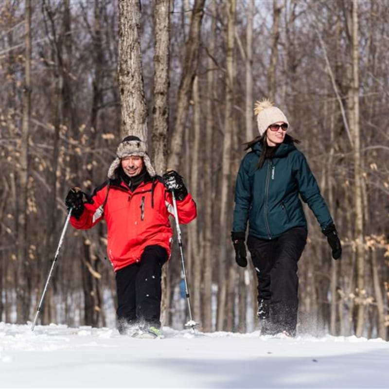 Couple marchant en hiver dans le Parc régional de Kilkenny.