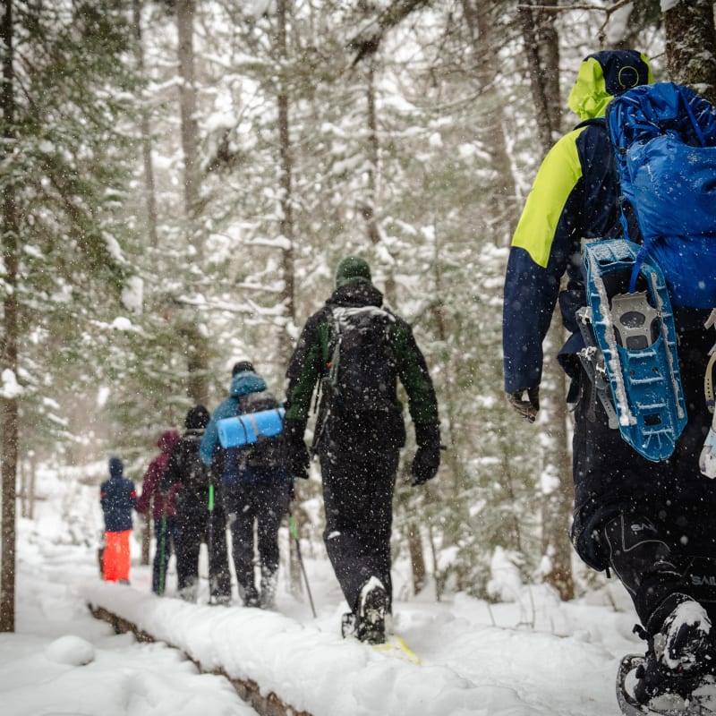 Groupe de raquetteurs au parc régional Montagne du Diable.