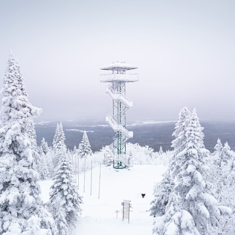 Tour d'observation au sommet d'une montagne au parc régional Montagne du Diable.