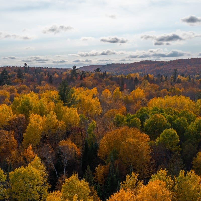 Festival des couleurs au Parc régional Montagne du Diable.