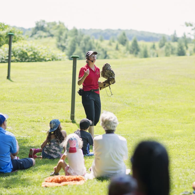 Demonstration of birds of prey at Chouette à voir!
