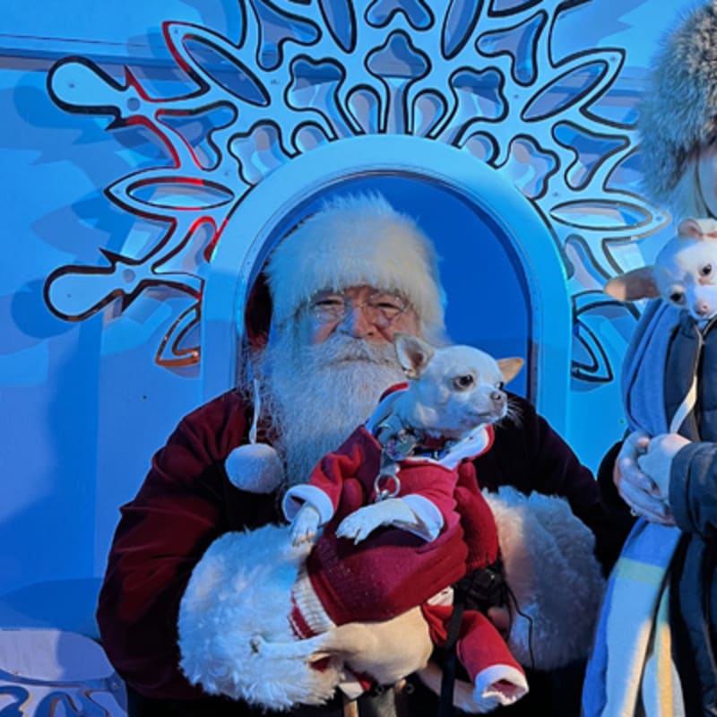 marche_de_noel_allemand_quebec_10