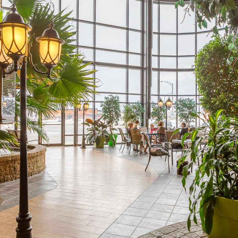 Atrium adorning an exotic decor at Hotel Ambassadeur